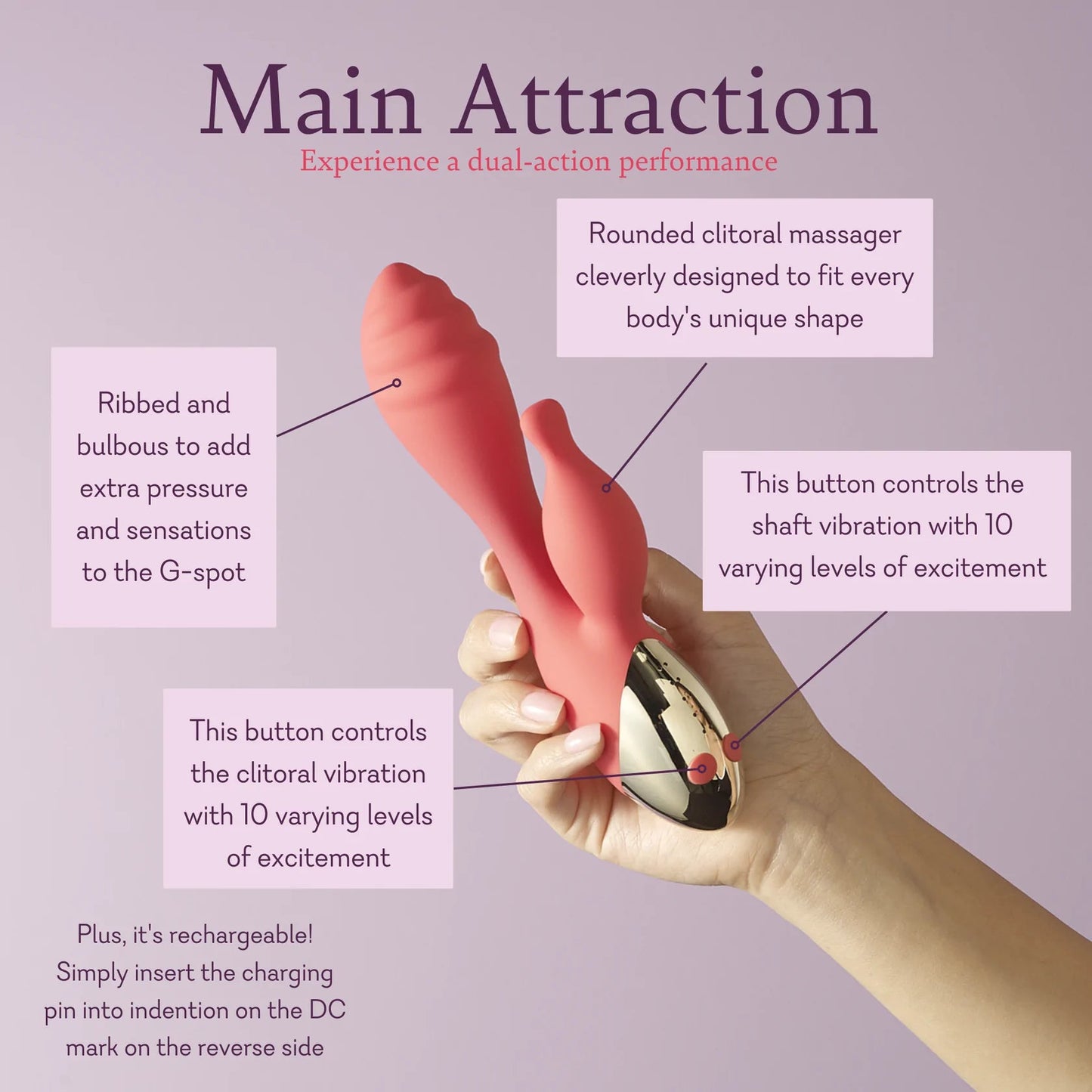 Main Attraction - Experience
